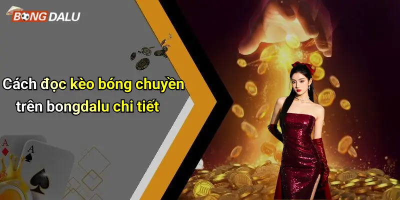Kèo bóng chuyền 3 Cách đọc kèo bóng chuyền trên bongdalu chi tiết