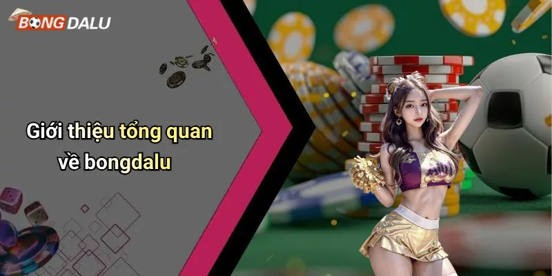 Giới thiệu tổng quan về bongdalu