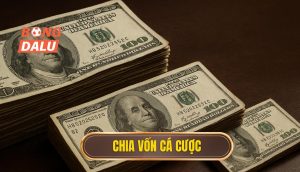 thumb - chia vốn cá cược