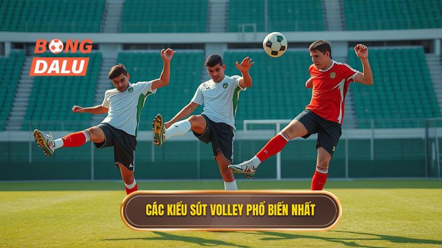 Kỹ thuật sút bóng volley: Đẳng cấp của những bàn thắng siêu phẩm 3 Phân loại các kiểu sút volley phổ biến