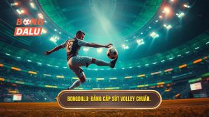 Kỹ thuật sút bóng volley: Hướng dẫn chi tiết từ chuyên gia Bongdalu