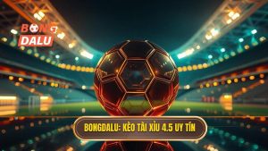 Kèo tài xỉu 4.5 toàn trận là gì? Bí quyết soi kèo từ BONGDALU