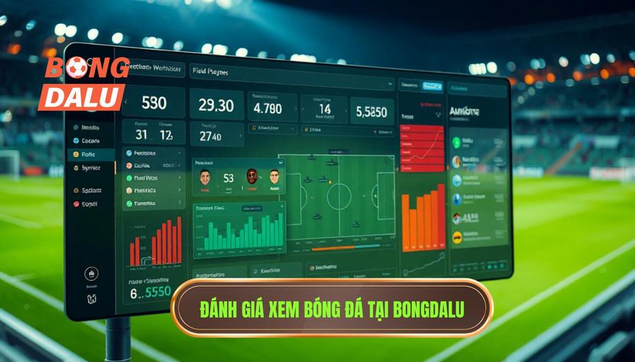 Phân tích các yếu tố cốt lõi: Bongdalu có phù hợp để theo dõi bóng đá trực tiếp?